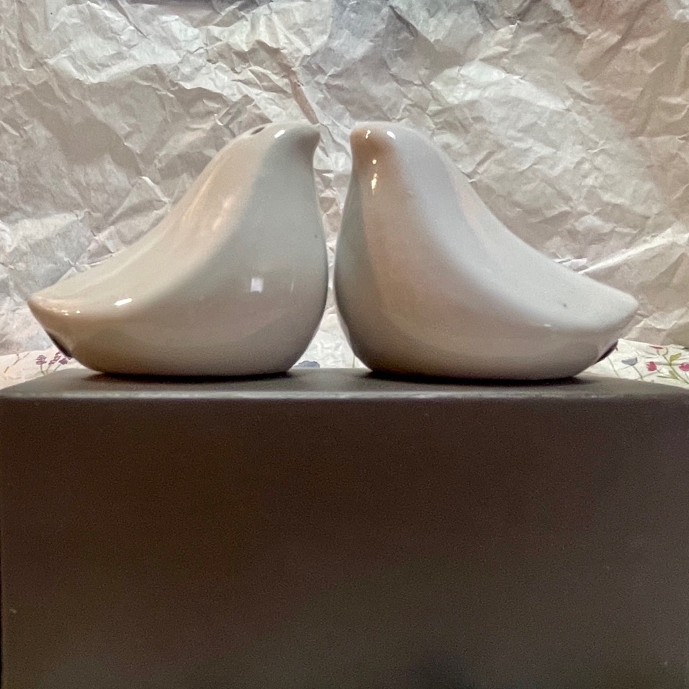 Unique Love Bird Salt & Pepper Shaker Wedding Favors –Gift Box Included, Kitchen